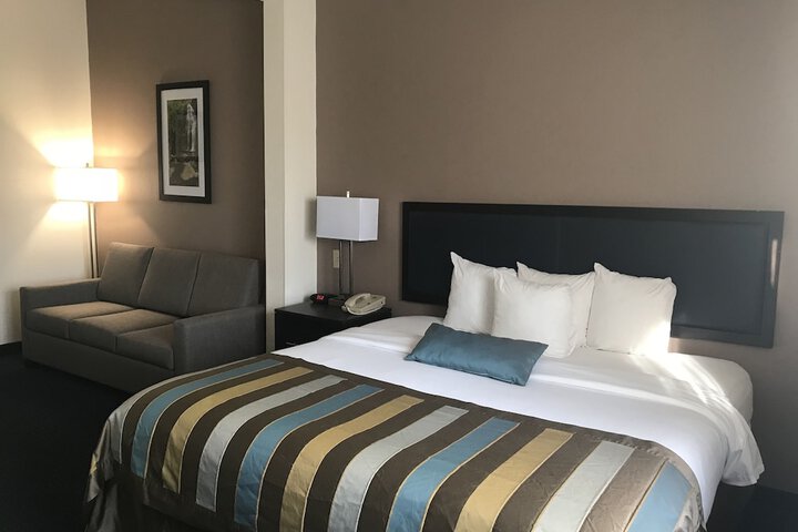 Standard King Bed Accessible (6 of 13)