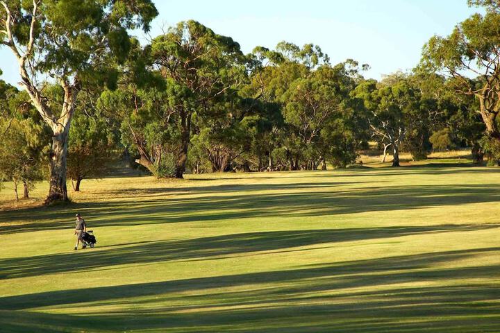 Golf 46 of 90