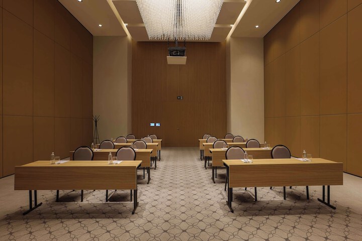 Meeting 209 of 223