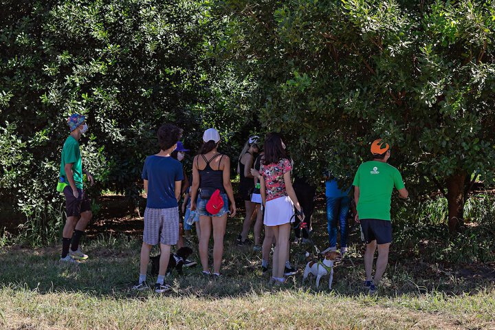 Outdoor Activities 69 of 141