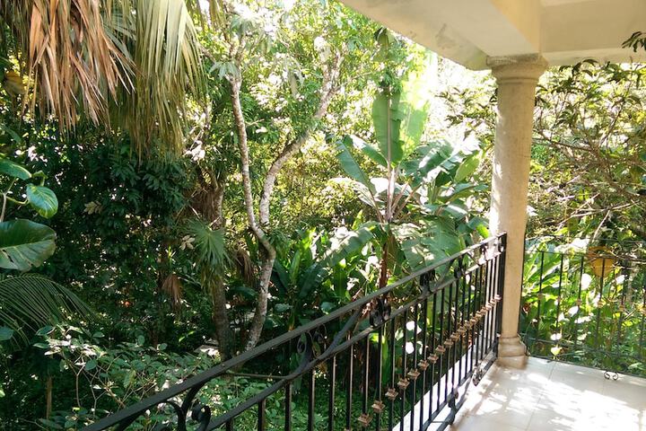 View from room