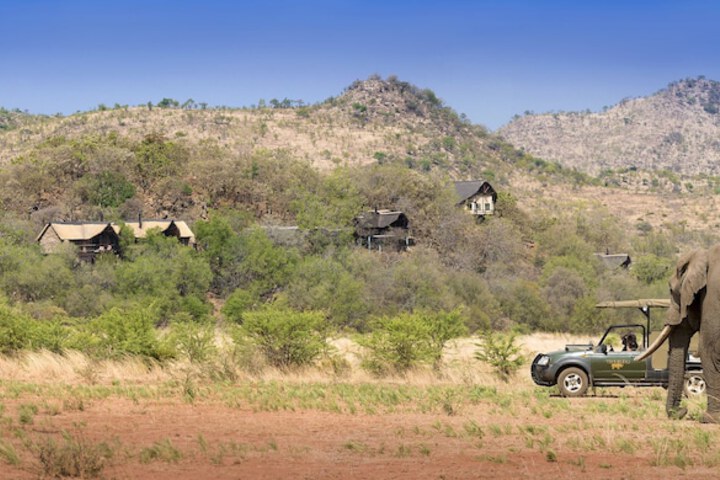 Game viewing