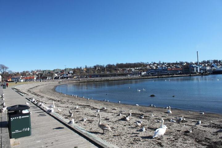 Beach 31 of 34