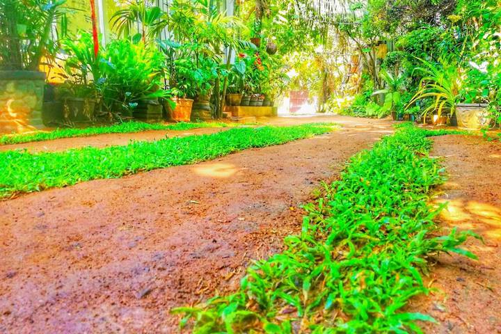 Property Grounds 32 of 49