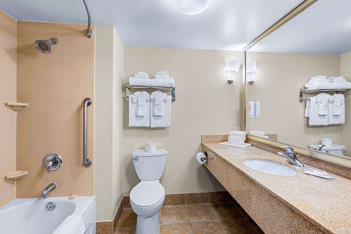 1 King Bed Suite Accessible (10 of 14)