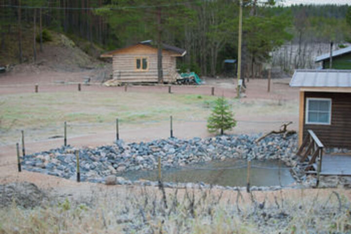 Property Grounds 11 of 15