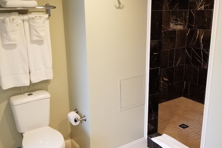 1 King Bed Accessible (1 of 24)