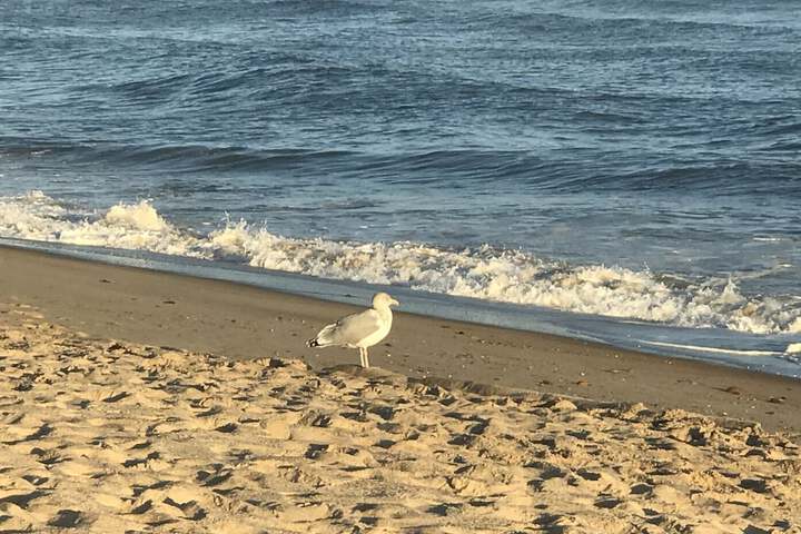 Hotel View 109 of 122