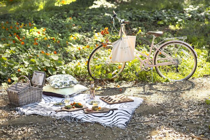 BBQ/picnic area