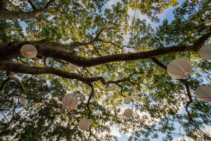 Property Grounds 22 of 30