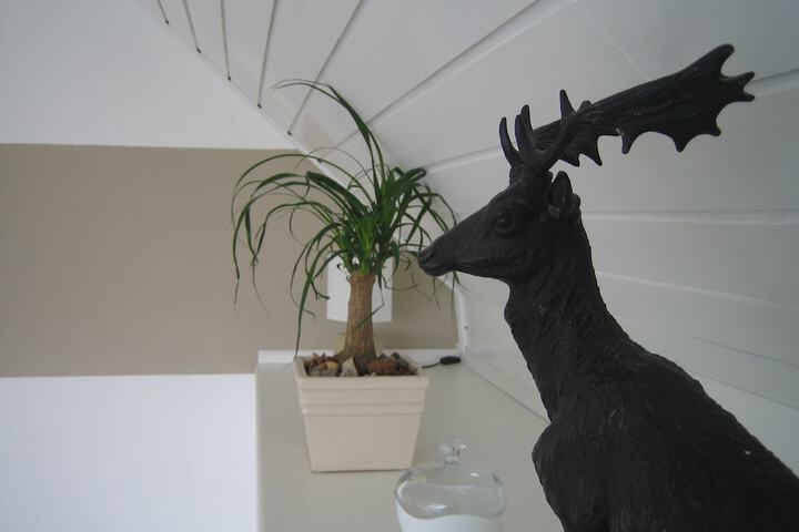 Room 4 of 54
