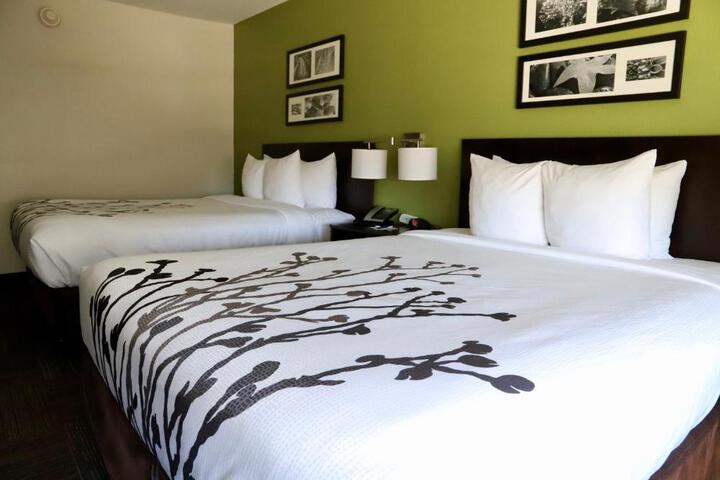 Standard Room, King or Two Doubles (3 of 3)