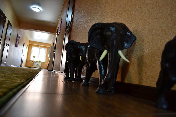 Hotel Interior 57 of 59