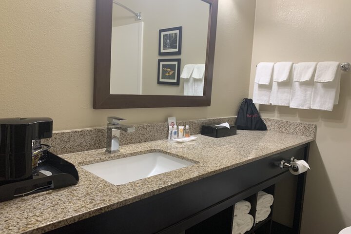 1 Queen Bed Suite Accessible (4 of 24)