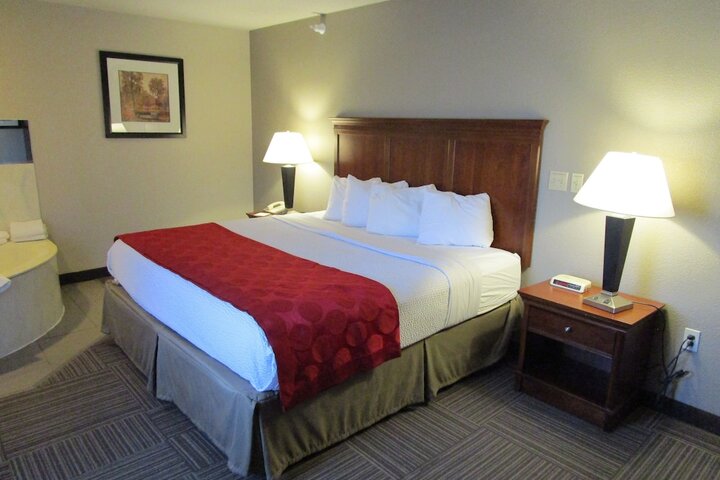 1 King Bed (19 of 37)