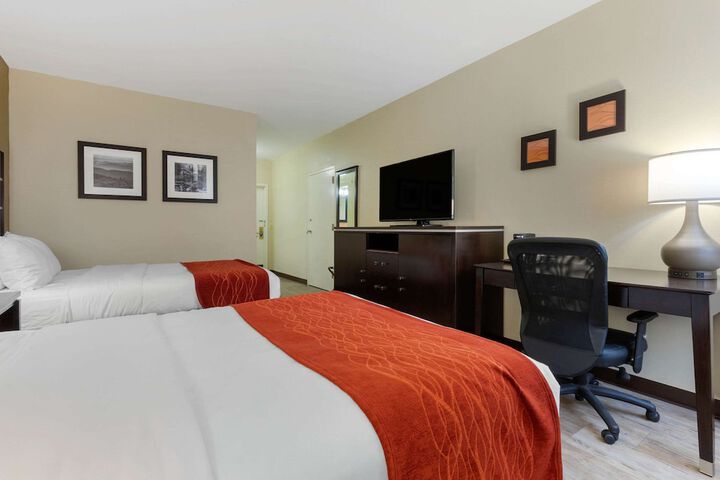 Standard Room, King or Two Doubles (10 of 11)