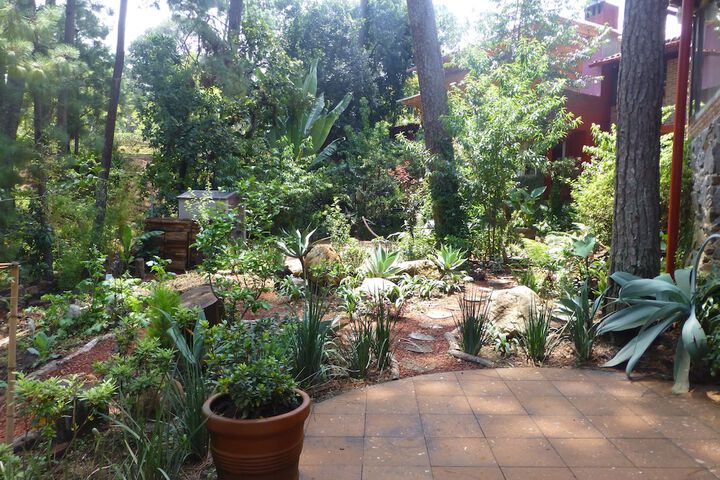Terrace/Patio 34 of 46