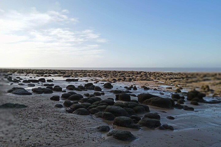 Beach 19 of 24