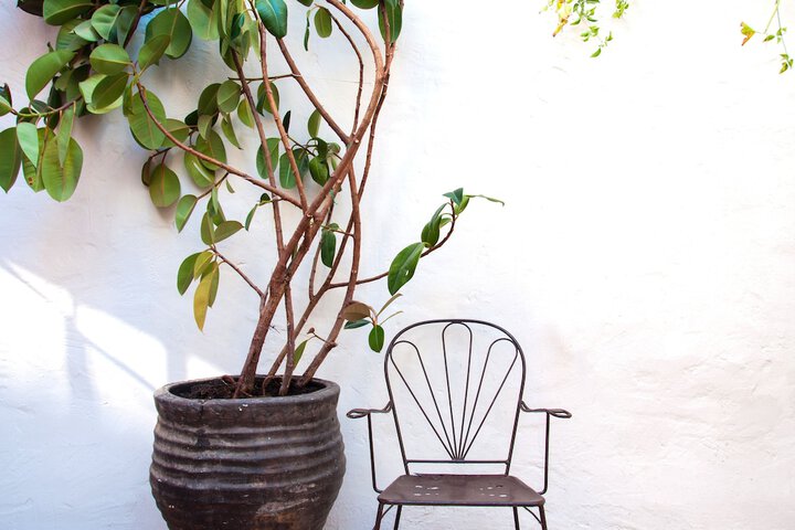 Terrace/Patio 32 of 37