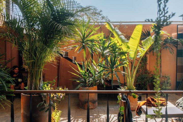 Terrace/Patio 111 of 118