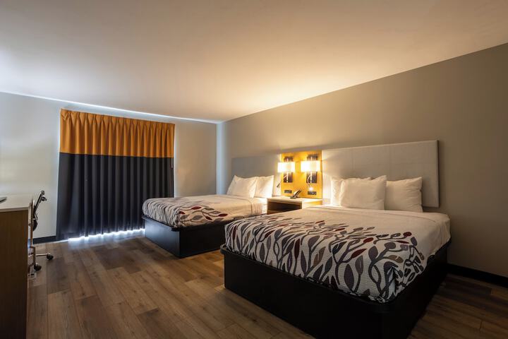 Room 4 of 56