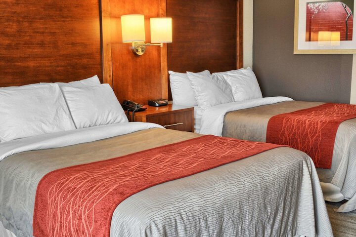 Double Accessible King Size Bed (6 of 11)