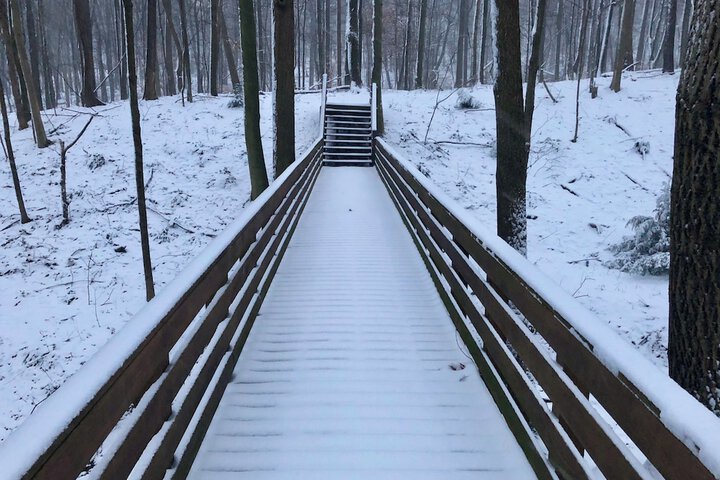 Outdoor Activities 294 of 345