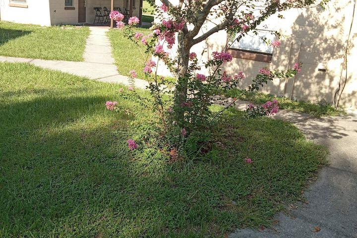 Terrace/Patio 12 of 17