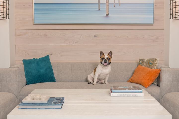 Pet-friendly