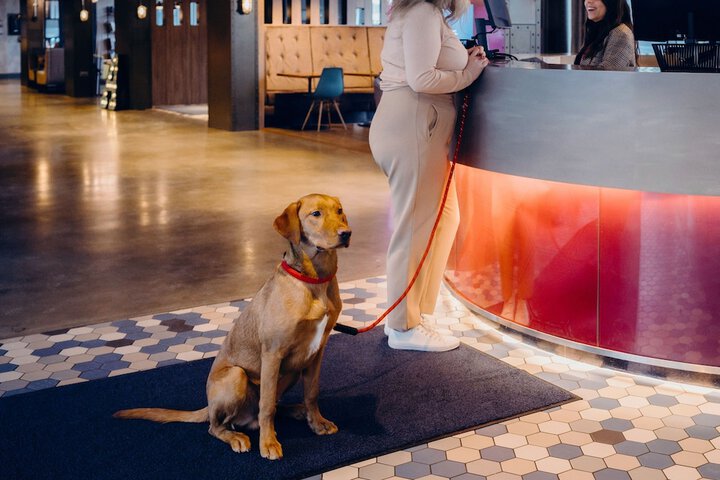 Pet Friendly 18 of 33