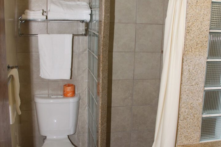 Bathroom shower