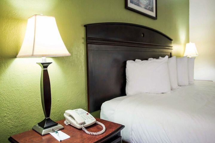 1 King Bed (5 of 9)