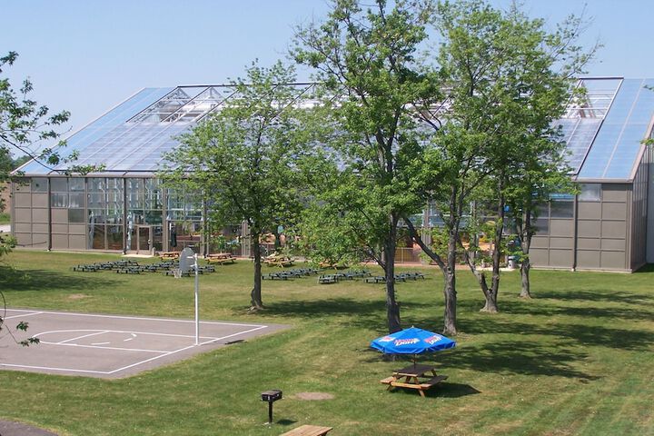 Basketball court