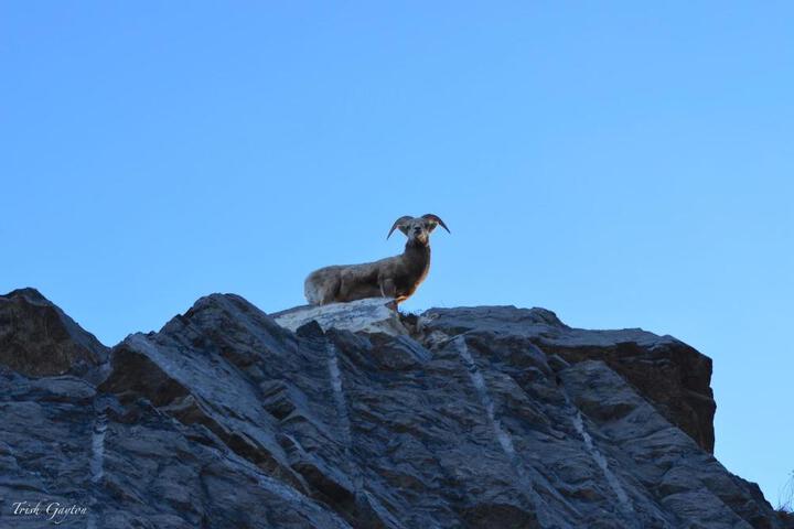 Photo 25