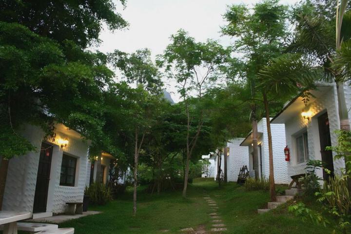 Photo 17