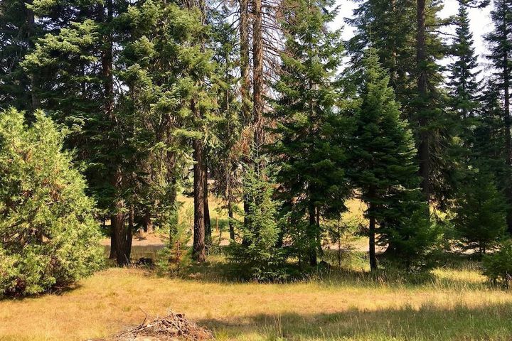 Property Grounds 21 of 27