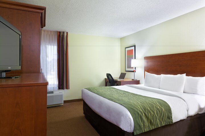 1 King Bed Accessible (17 of 19)