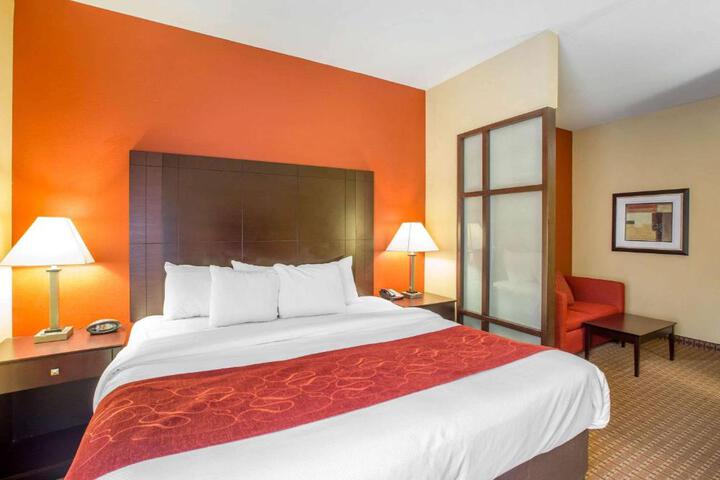Standard Room, King or Two Doubles (2 of 2)