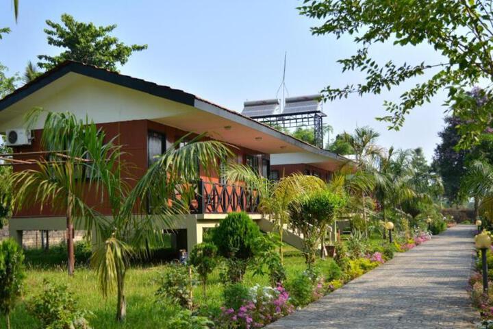 Photo 8