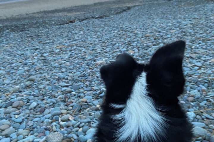 Beach 29 of 30
