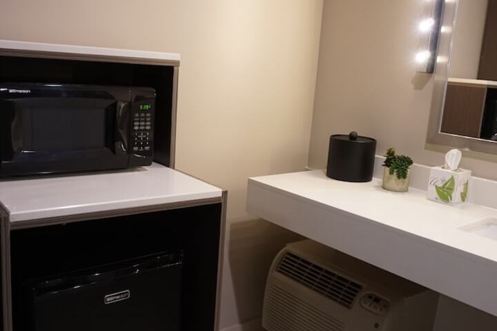 Mini-refrigerator
