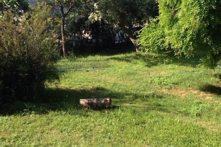 Property Grounds 15 of 22