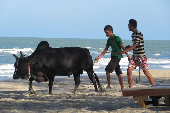 Beach 124 of 159