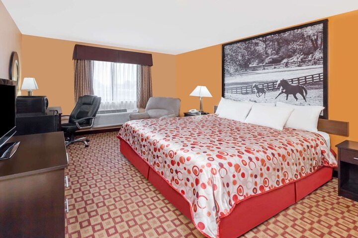 1 King Bed (5 of 6)