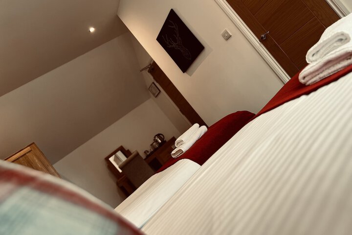 Room 51 of 95