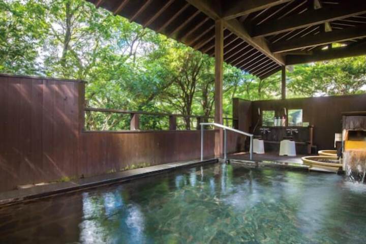 Wellness Treatments