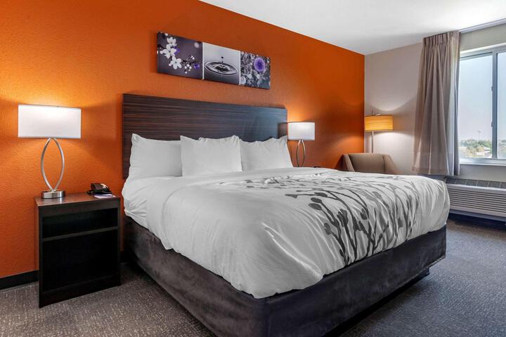 1 King Bed Accessible (7 of 14)