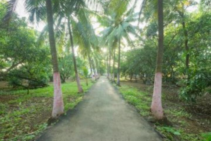 OYO 18638 Coco Mango