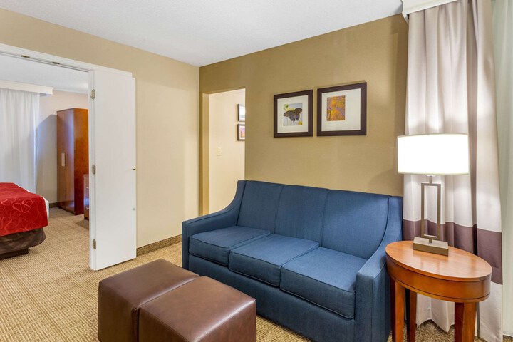 1 King Bed Suite (10 of 14)