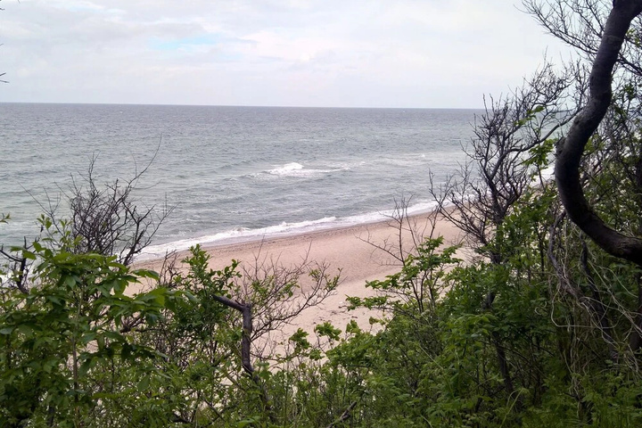 Beach 16 of 19